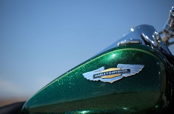 Harley-Davidson Softail Deluxe FLSTN 2013 - Bild 8 Harley-Davidson Softail Deluxe FLSTN 2013 - Bild 8