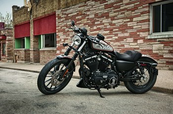 Harley-Davidson Sportster XL 883 N Iron 2013 - Bild 3