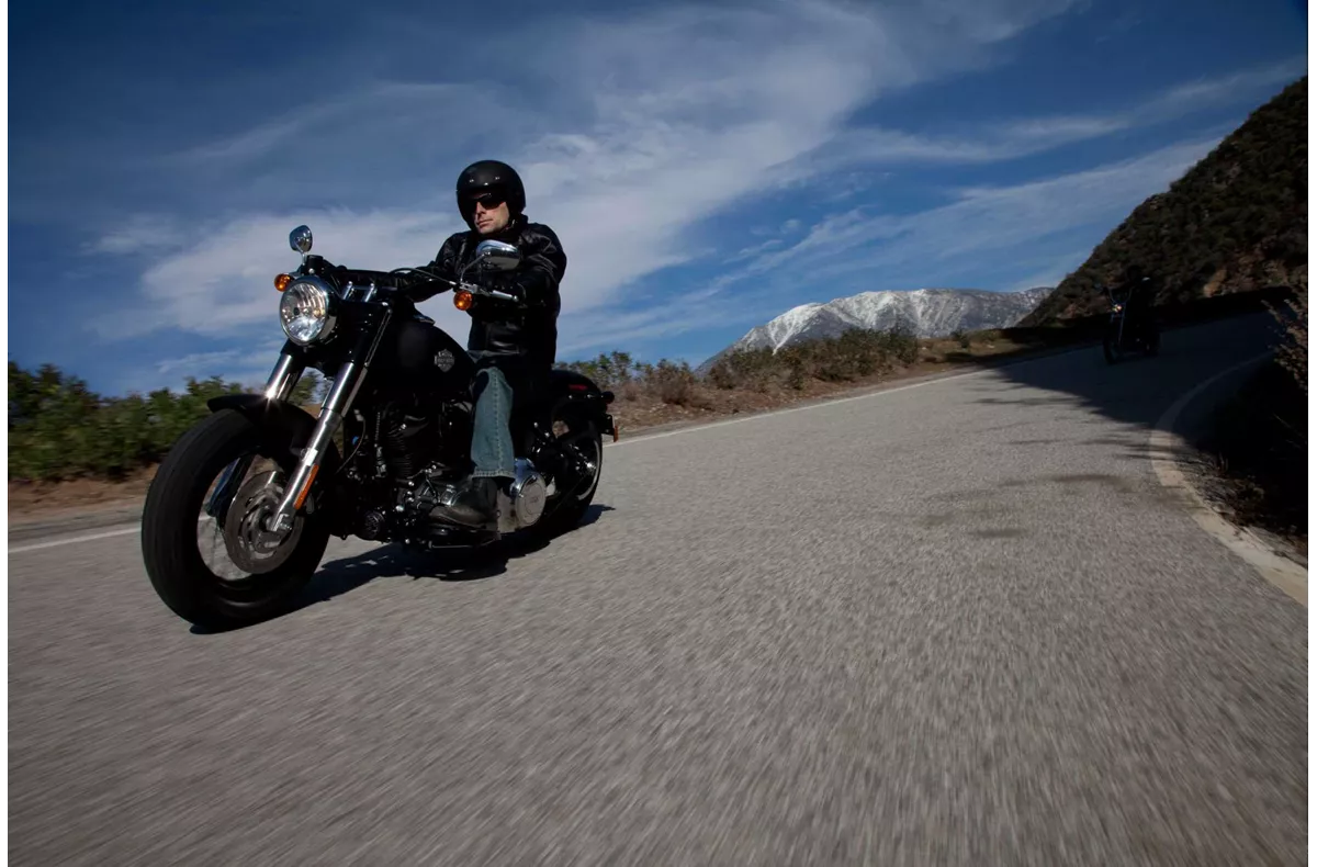 Harley-Davidson Softail Slim FLS Harley-Davidson Softail Slim FLS