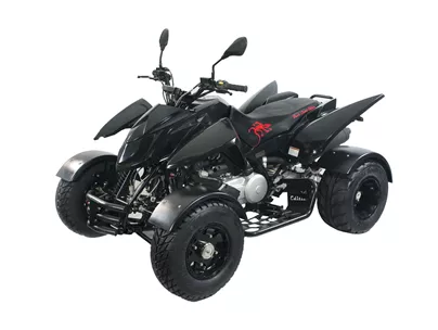 Triton Black Lizard 400 2013 Triton Black Lizard 400 2013