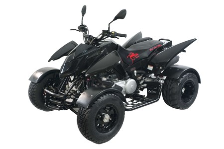 Triton Black Lizard 450 2013