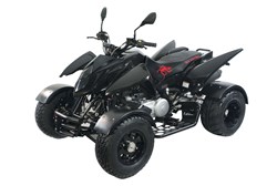 Triton Black Lizard 450 2013