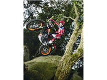 Honda Montesa COTA 4RT 2013 - Bild 9