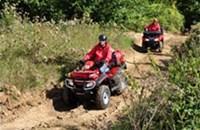 Honda TRX 420 FE Rancher 2013 - Bild 3