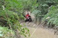 Honda TRX 500 FE Foreman 2013 - Bild 3