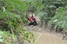 Honda TRX 500 FE Foreman 2013 - Bild 3