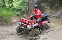 Honda TRX 500 FE Foreman 2013 - Bild 4