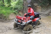 Honda TRX 500 FE Foreman 2013 - Bild 4