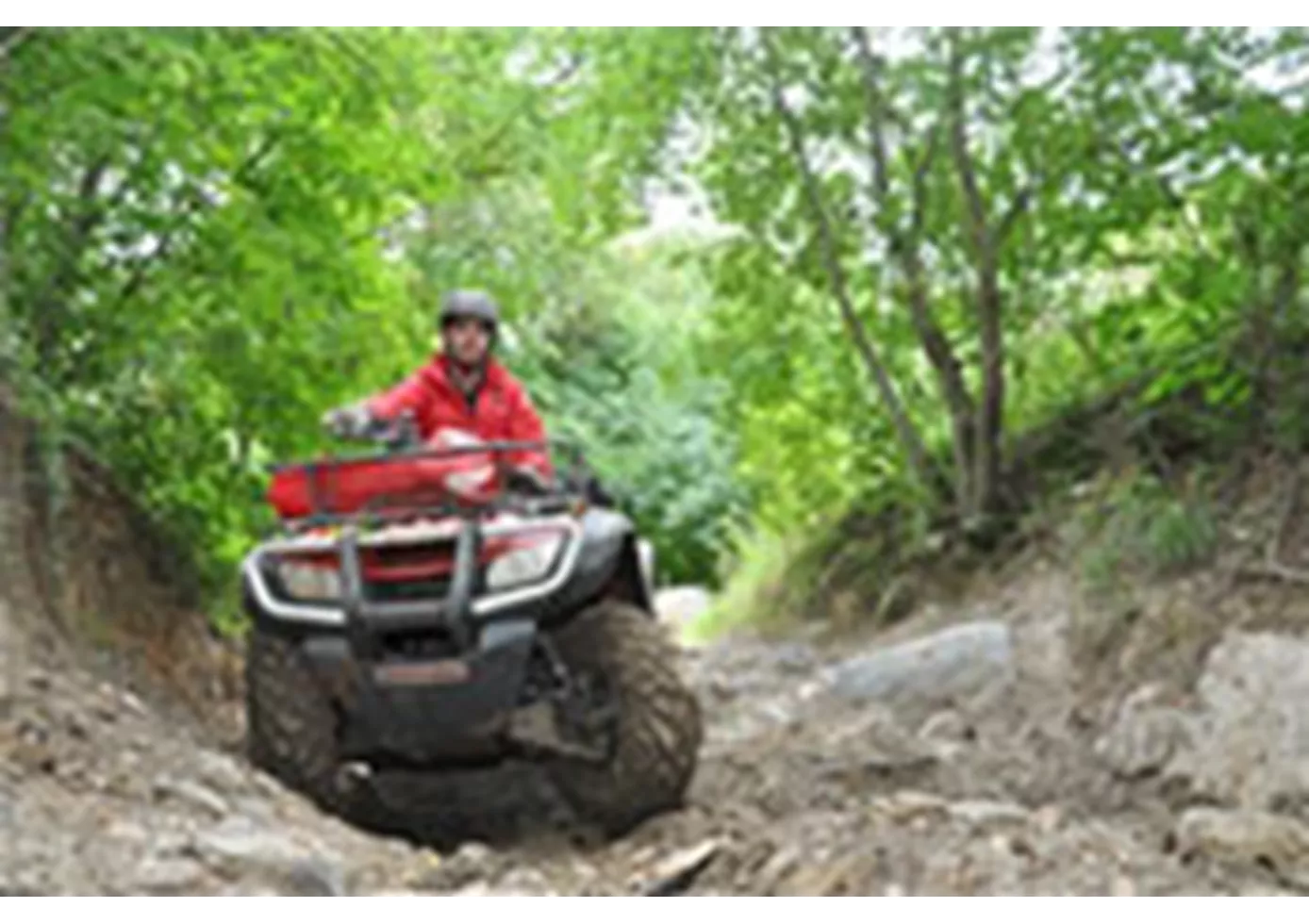 Honda TRX 500 FE Foreman 2013 Honda TRX 500 FE Foreman 2013