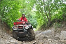 Honda TRX 500 FE Foreman 2013 - Bild 5