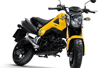 Honda MSX 125 2013 - Bild 6