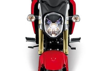 Honda MSX 125 2013 - Bild 7