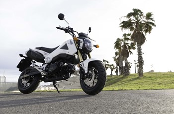 Honda MSX 125 2013 - Bild 10