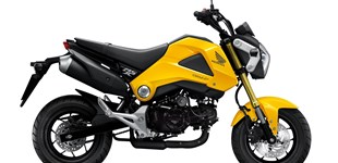 BMW R nineT Scrambler 2017 vs Honda MSX 125 2013