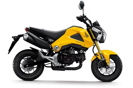 Honda MSX 125 2013