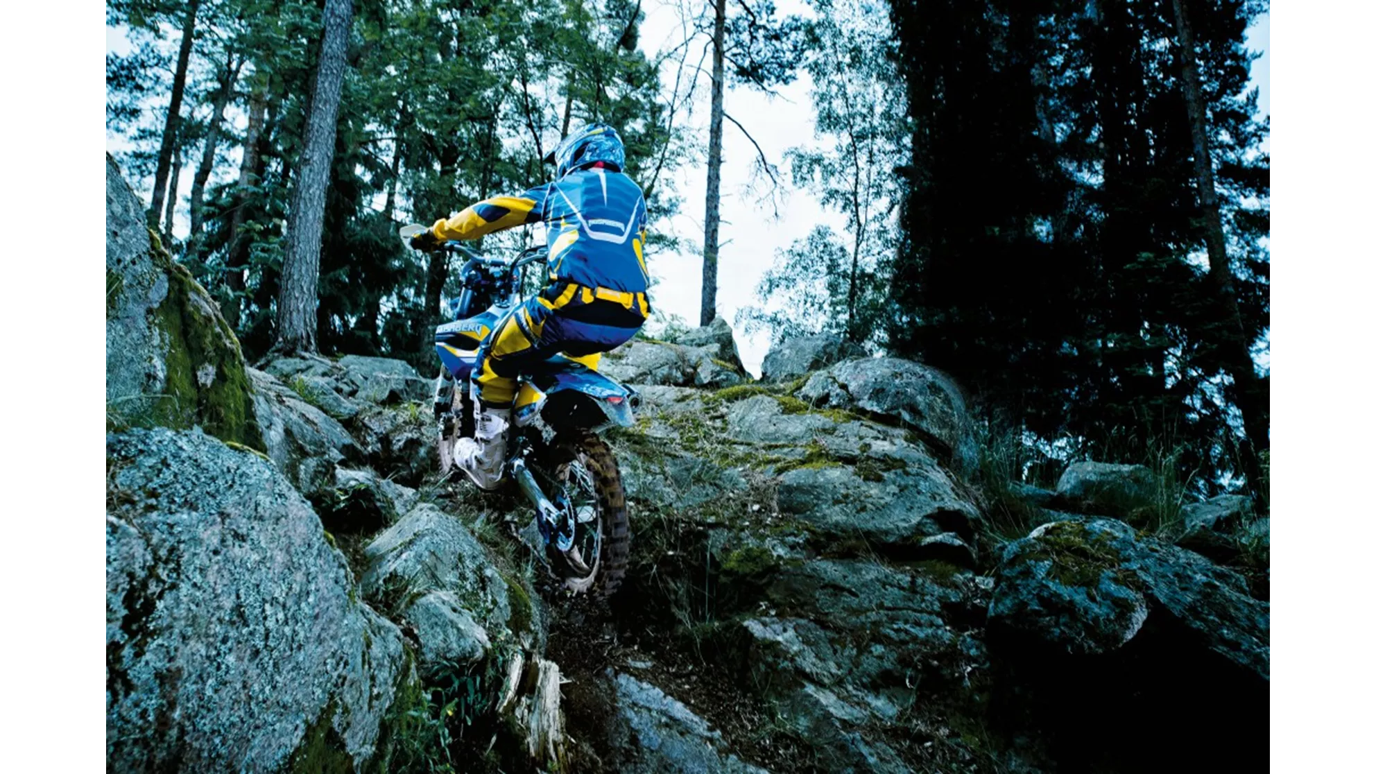 Husaberg FE 450 - Image 2 Husaberg FE 450 - Image 2