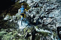 Husaberg FE 250 2013 - Bild 4