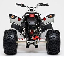 Beeline Bestia 3.3 Offroad 2013 - Bild 2