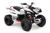 Beeline Bestia 3.3 Offroad 2013 - Bild 4