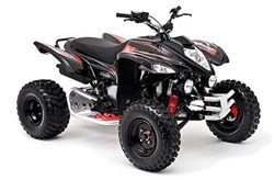 Beeline Bestia 5.5 Offroad 2013