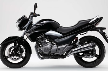 Suzuki GW250 Inazuma 2013 - Bild 6