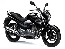 Suzuki GW250 Inazuma 2013