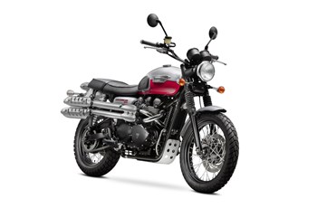 Triumph Scrambler 2013 - Bild 2