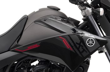 Yamaha XT 660X 2013 - Bild 10