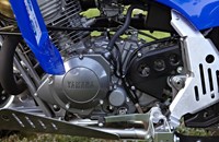 Yamaha YFM 350R 2013 - Bild 6