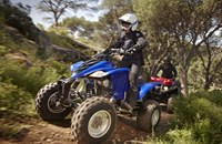 Yamaha YFM 350R 2013 - Bild 8