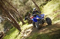 Yamaha YFM 350R 2013 - Bild 9