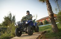 Yamaha Grizzly 125 2013 - Bild 4