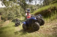 Yamaha Grizzly 125 2013 - Bild 5