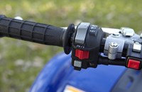 Yamaha Grizzly 125 2013 - Bild 7