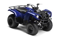 Yamaha Grizzly 125 2013 - Bild 1