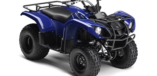 Kawasaki Ninja 125 2020 vs Yamaha Grizzly 125 2013