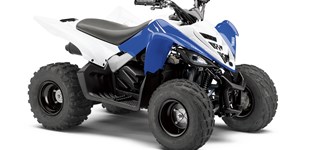 Access AMX 6.46 Basic 2019 vs Yamaha YFM 90 2013