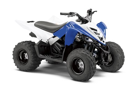 Yamaha YFM 90 2013