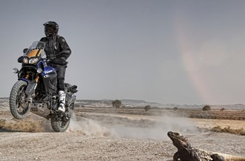 Yamaha XT 1200 Z Super Ténéré World Crosser 2013 - Bild 4