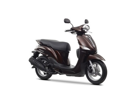 Yamaha D'elight 2013