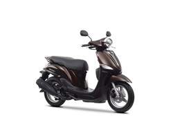 Yamaha D'elight 2013