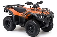 TGB Blade 325 4x2 2013 - Bild 1