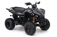 TGB Target 325 4x2 2013 - Bild 1