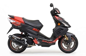 TGB Bull&t RR 2013 - Bild 2