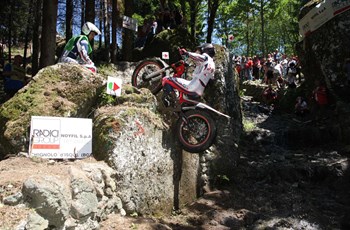 Beta Evo 250 2T 2013 - Bild 3