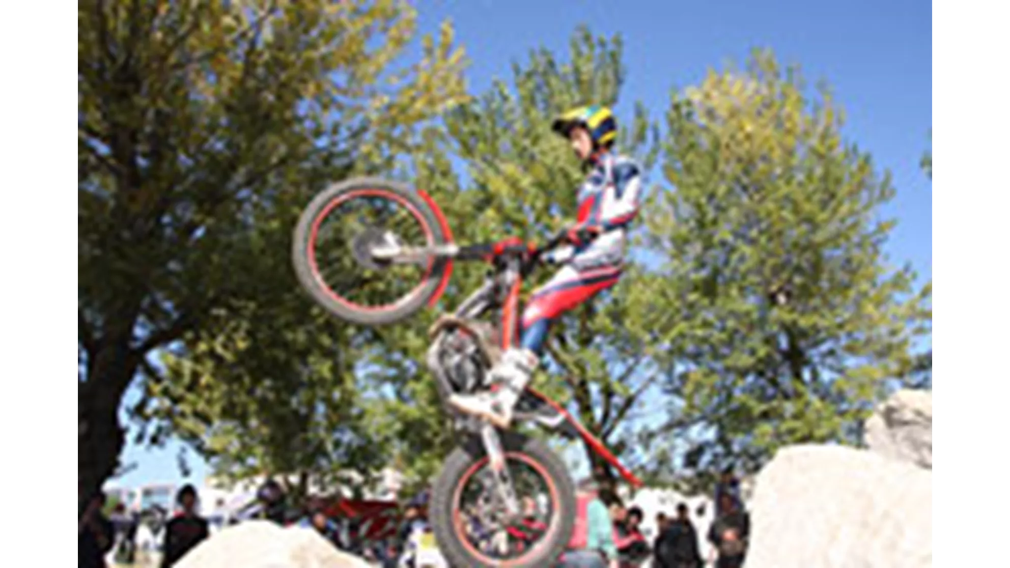 Beta Evo 300 2T - Image 11 Beta Evo 300 2T - Image 11