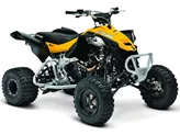 Can-Am DS 450 2013 Can-Am DS 450 2013