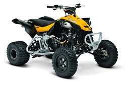 Can-Am DS 450 2013