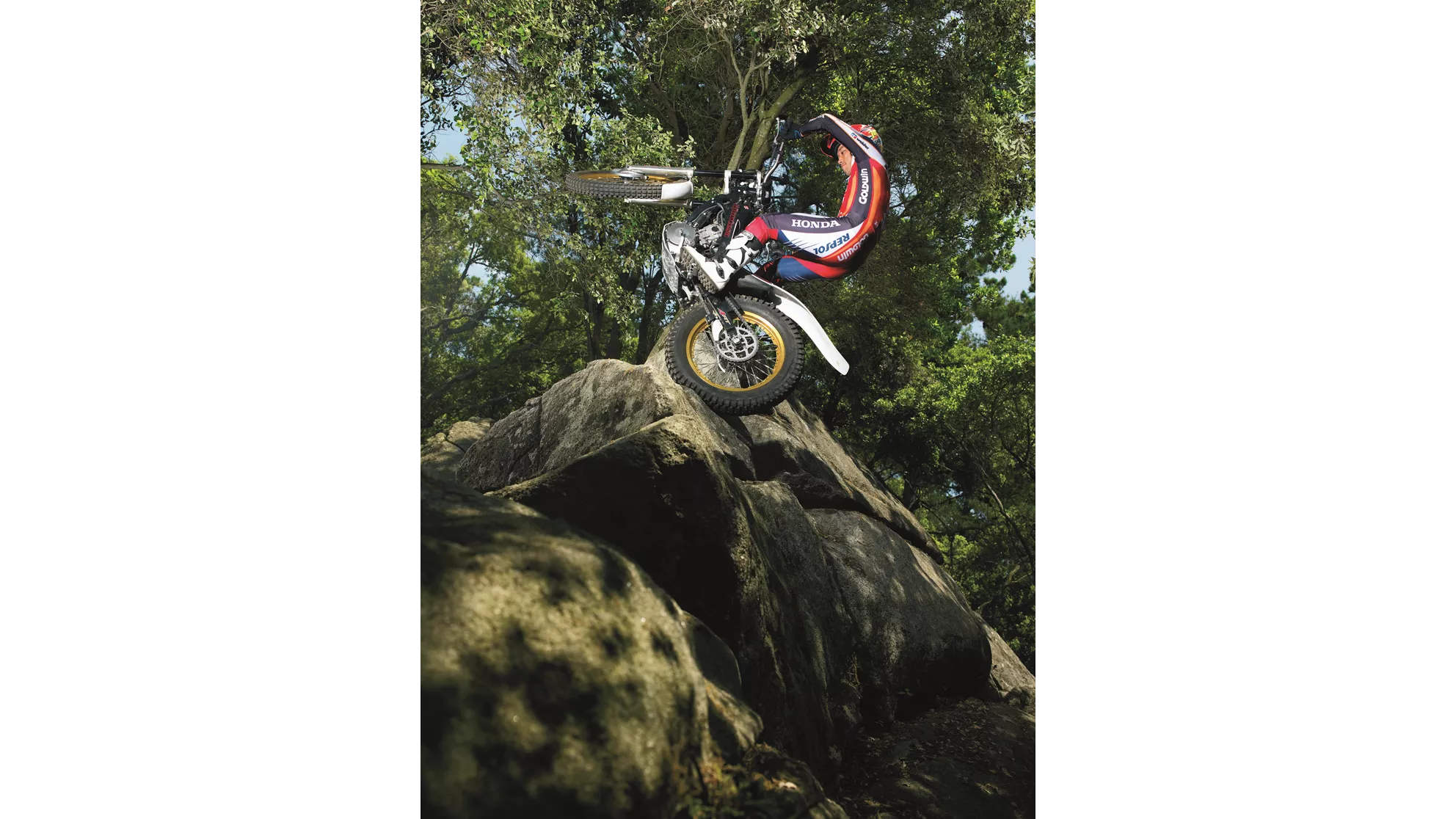 Montesa Cota 4RT - Image 6 Montesa Cota 4RT - Image 6