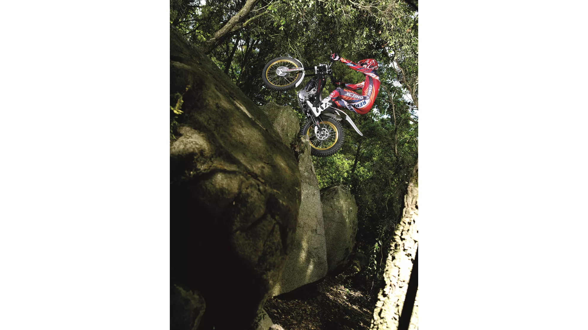 Montesa Cota 4RT - Image 8 Montesa Cota 4RT - Image 8